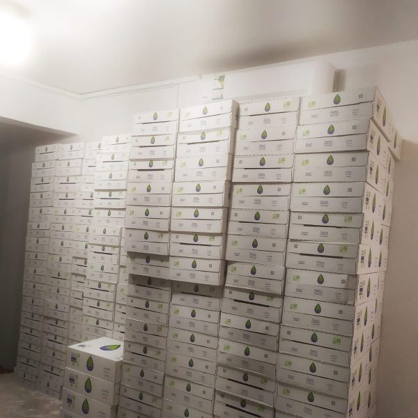 WhatsApp Image 2024-10-30 at 11.45.29 AM